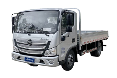 FOTON LIGHT CARGO TRUCK